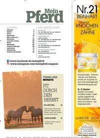 Titelbild der Ausgabe 110/2021 von Die Geschichte der „Kesselflicker-Ponys“. Zeitschriften als Abo oder epaper bei United Kiosk online kaufen.