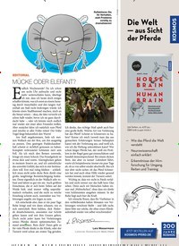 Titelbild der Ausgabe 30/2022 von MÜCKE ODER ELEFANT?. Zeitschriften als Abo oder epaper bei United Kiosk online kaufen.
