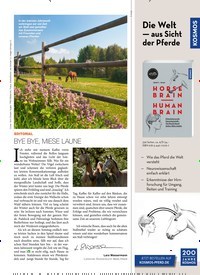 Titelbild der Ausgabe 40/2022 von BYE BYE, MIESE LAUNE. Zeitschriften als Abo oder epaper bei United Kiosk online kaufen.