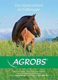 Titelbild der Ausgabe 90/2021 von Was bleibt von Olympia?. Zeitschriften als Abo oder epaper bei United Kiosk online kaufen.