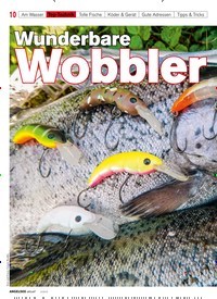 Titelbild der Ausgabe 50/2018 von Wunderbare Wobbler. Zeitschriften als Abo oder epaper bei United Kiosk online kaufen.