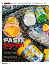 Titelbild der Ausgabe 20/2019 von PASTE PERFEKT. Zeitschriften als Abo oder epaper bei United Kiosk online kaufen.