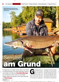 Titelbild der Ausgabe 60/2019 von Sensibel am Grund. Zeitschriften als Abo oder epaper bei United Kiosk online kaufen.