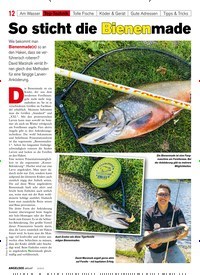 Titelbild der Ausgabe 60/2019 von So sticht die Bienenmade. Zeitschriften als Abo oder epaper bei United Kiosk online kaufen.