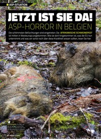 Titelbild der Ausgabe 20/2018 von ASP-SITUATION: JETZT IST SIE DA! ASP-HORROR IN BELGIEN. Zeitschriften als Abo oder epaper bei United Kiosk online kaufen.