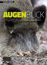 Titelbild der Ausgabe 10/2019 von NEUES WISSEN: AUGENBLICK. Zeitschriften als Abo oder epaper bei United Kiosk online kaufen.