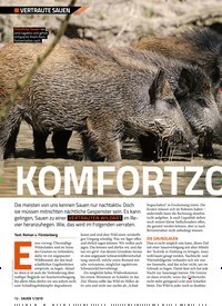 Titelbild der Ausgabe 10/2019 von VERTRAUTE SAUEN: KOMFORTZONE. Zeitschriften als Abo oder epaper bei United Kiosk online kaufen.