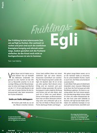 Titelbild der Ausgabe 5/2019 von Frühlings-Egli. Zeitschriften als Abo oder epaper bei United Kiosk online kaufen.