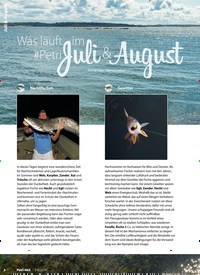 Titelbild der Ausgabe 8/2019 von Juli & August: Was läuft im #PetriJuli & August. Zeitschriften als Abo oder epaper bei United Kiosk online kaufen.