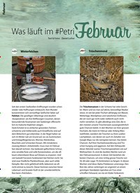 Titelbild der Ausgabe 2/2020 von Februar:Was läuft im #PetriFebruar. Zeitschriften als Abo oder epaper bei United Kiosk online kaufen.