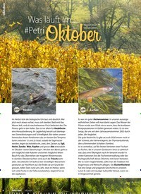 Titelbild der Ausgabe 10/2020 von Oktober: Was läuft im #Petri Oktober. Zeitschriften als Abo oder epaper bei United Kiosk online kaufen.