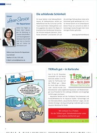 Titelbild der Ausgabe 5/2019 von Forum. Zeitschriften als Abo oder epaper bei United Kiosk online kaufen.