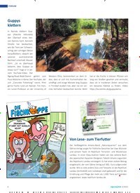 Titelbild der Ausgabe 5/2021 von 50 Jahre Aquarium im Zoo von Köln. Zeitschriften als Abo oder epaper bei United Kiosk online kaufen.