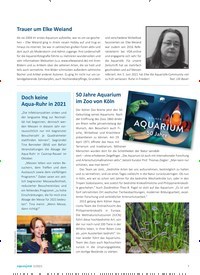 Titelbild der Ausgabe 5/2021 von Neuer Bodensalmler. Zeitschriften als Abo oder epaper bei United Kiosk online kaufen.