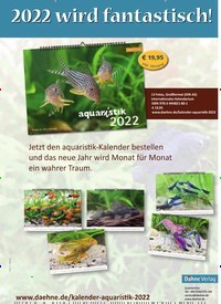 Titelbild der Ausgabe 6/2021 von Liebe Aquaristik-Freunde,. Zeitschriften als Abo oder epaper bei United Kiosk online kaufen.