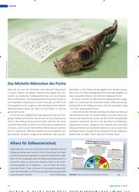 Titelbild der Ausgabe 2/2022 von Das Michelin-Männchen der Fische. Zeitschriften als Abo oder epaper bei United Kiosk online kaufen.