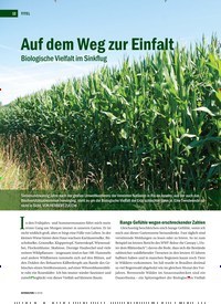 Titelbild der Ausgabe 4/2019 von Auf dem Weg zur Einfalt: Biologische Vielfalt im Sinkflug. Zeitschriften als Abo oder epaper bei United Kiosk online kaufen.
