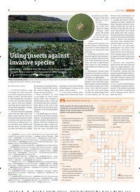 Titelbild der Ausgabe 7/2022 von Using insects against invasive species. Zeitschriften als Abo oder epaper bei United Kiosk online kaufen.