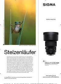 Titelbild der Ausgabe 11/2018 von Stelzenläufer. Zeitschriften als Abo oder epaper bei United Kiosk online kaufen.