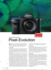 Titelbild der Ausgabe 3/2019 von Sony A7S III und A7R IV: Pixel-Evolution. Zeitschriften als Abo oder epaper bei United Kiosk online kaufen.