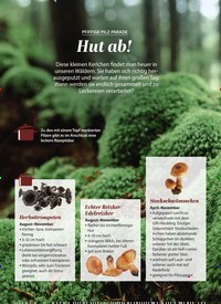 Titelbild der Ausgabe 10/2022 von Hut ab!. Zeitschriften als Abo oder epaper bei United Kiosk online kaufen.