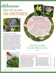 Titelbild der Ausgabe 10/2019 von GARTENNOTIZEN: Das ist zu tun IM OKTOBER. Zeitschriften als Abo oder epaper bei United Kiosk online kaufen.