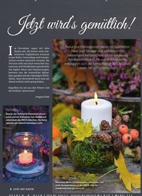 Titelbild der Ausgabe 11/2019 von Jetzt wird’s gemütlich!. Zeitschriften als Abo oder epaper bei United Kiosk online kaufen.