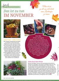 Titelbild der Ausgabe 11/2019 von GARTENNOTIZEN: Das ist zu tun IM NOVEMBER. Zeitschriften als Abo oder epaper bei United Kiosk online kaufen.