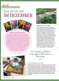 Titelbild der Ausgabe 12/2019 von Das ist zu tun IM DEZEMBER. Zeitschriften als Abo oder epaper bei United Kiosk online kaufen.