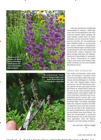 Titelbild der Ausgabe 10/2021 von WIRKUNGSVOLLER BLATTSCHMUCK. Zeitschriften als Abo oder epaper bei United Kiosk online kaufen.