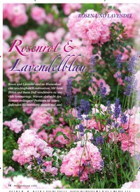 Titelbild der Ausgabe 3/2022 von Rosenrot & Lavendelblau. Zeitschriften als Abo oder epaper bei United Kiosk online kaufen.