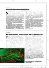 Titelbild der Ausgabe 8/2018 von Sprache: Substantive bremsen den Redefluss. Zeitschriften als Abo oder epaper bei United Kiosk online kaufen.