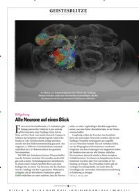 Titelbild der Ausgabe 10/2018 von GEISTESBLITZE. Zeitschriften als Abo oder epaper bei United Kiosk online kaufen.