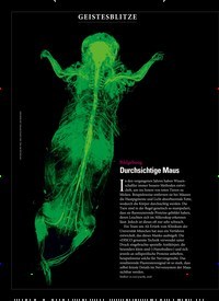 Titelbild der Ausgabe 2/2019 von GEISTESBLITZE: Bildgebung: Durchsichtige Maus. Zeitschriften als Abo oder epaper bei United Kiosk online kaufen.