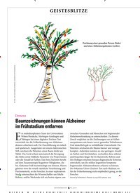 Titelbild der Ausgabe 6/2019 von GEISTESBLITZE: Demenz: Baumzeichnungen können Alzheimer im Frühstadium entlarven. Zeitschriften als Abo oder epaper bei United Kiosk online kaufen.