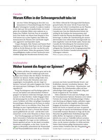 Titelbild der Ausgabe 4/2022 von Woher kommt die Angst vor Spinnen?. Zeitschriften als Abo oder epaper bei United Kiosk online kaufen.