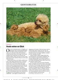 Titelbild der Ausgabe 11/2022 von Hunde weinen vor Glück. Zeitschriften als Abo oder epaper bei United Kiosk online kaufen.