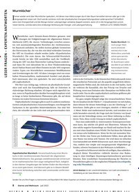 Titelbild der Ausgabe 7/2022 von Wurmlöcher. Zeitschriften als Abo oder epaper bei United Kiosk online kaufen.