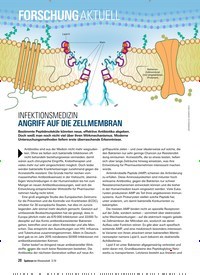 Titelbild der Ausgabe 3/2019 von FORSCHUNG AKTUELL: INFEKTIONSMEDIZIN ANGRIFF AUF DIE ZELLMEMBRAN. Zeitschriften als Abo oder epaper bei United Kiosk online kaufen.