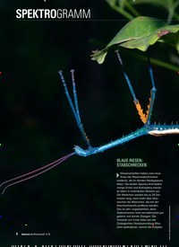Titelbild der Ausgabe 6/2019 von SPEKTROGRAMM. Zeitschriften als Abo oder epaper bei United Kiosk online kaufen.