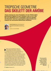 Titelbild der Ausgabe 6/2019 von TROPISCHE GEOMETRIE DAS SKELETT DER AMÖBE. Zeitschriften als Abo oder epaper bei United Kiosk online kaufen.
