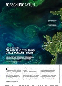 Titelbild der Ausgabe 11/2019 von FORSCHUNG AKTUELL: BIOGEOCHEMIE OZEANISCHE WÜSTEN BINDEN GROSSE MENGEN STICKSTOFF. Zeitschriften als Abo oder epaper bei United Kiosk online kaufen.