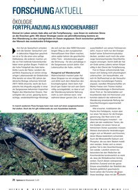 Titelbild der Ausgabe 3/2020 von ÖKOLOGIE: FORTPFLANZUNG ALS KNOCHENARBEIT. Zeitschriften als Abo oder epaper bei United Kiosk online kaufen.
