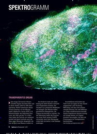 Titelbild der Ausgabe 4/2020 von SPEKTROGRAMM. Zeitschriften als Abo oder epaper bei United Kiosk online kaufen.