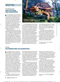 Titelbild der Ausgabe 8/2020 von SPEKTROGRAMM. Zeitschriften als Abo oder epaper bei United Kiosk online kaufen.