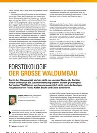 Titelbild der Ausgabe 9/2020 von FORSTÖKOLOGIE. Zeitschriften als Abo oder epaper bei United Kiosk online kaufen.