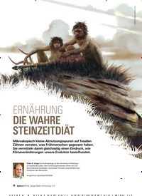 Titelbild der Ausgabe 4/2022 von ERNÄHRUNG DIE WAHRE STEINZEITDIÄT. Zeitschriften als Abo oder epaper bei United Kiosk online kaufen.