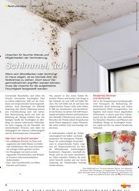 Titelbild der Ausgabe 6/2019 von Rund ums Haus Schimmel: Ursachen für feuchte Wände und Möglichkeiten der Verhinderung: Schimmel, ade. Zeitschriften als Abo oder epaper bei United Kiosk online kaufen.