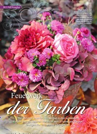 Titelbild der Ausgabe 7/2022 von Feuerwerk der Farben. Zeitschriften als Abo oder epaper bei United Kiosk online kaufen.
