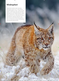 Titelbild der Ausgabe 2/2022 von Wiedergeburt. Zeitschriften als Abo oder epaper bei United Kiosk online kaufen.